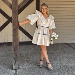 Ruffle Mini Dress - NWT